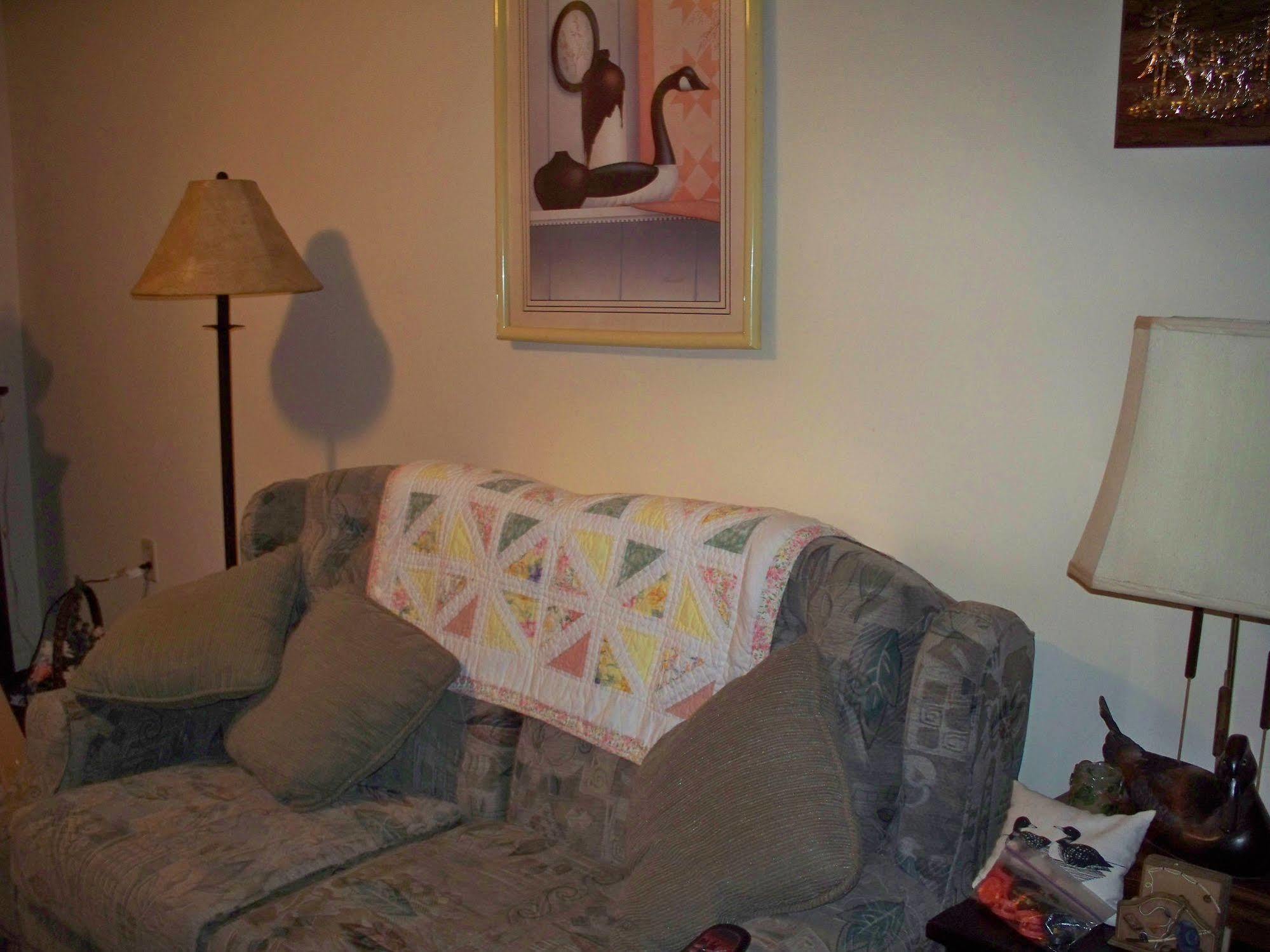 Bear House Bed And Breakfast Dover Εξωτερικό φωτογραφία
